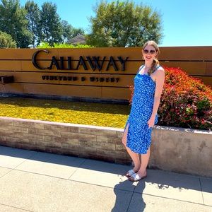 Blue Floral Sleeveless Dress